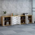 2-door half-office storage cabinet, half-height office storage cabinet, 2-door office cabinet, small office storage cabinet with doors, compact office storage unit, 2-door filing cabinet office use, office cabinet half height with doors, steel 2-door office cabinet, wooden 2-door storage cabinet, low office cabinet with doors, metal half-height office cabinet, 2-door lockable office cabinet, space-saving 2-door office cabinet, durable half-office storage cabinet, 2-door cupboard for office storage, sleek office storage cabinet with 2 doors, secure office cabinet 2 doors, modern half-office cabinet, practical 2-door storage unit, office organizer cabinet with doors, small office filing cabinet 2-door, 2-door shelving cabinet office, low profile office cabinet with doors, under desk office cabinet 2-door, dual door compact office cabinet, office cabinet for documents 2-door, office supply cabinet with 2 doors, black 2-door office storage cabinet, 2-door half cabinet for files, 2-door office cupboard metal or wood, executive half-height office cabinet.